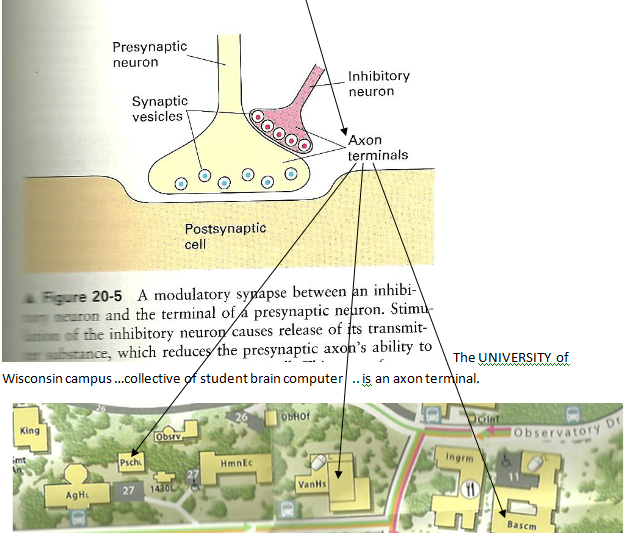 p-1180-11b.PNG