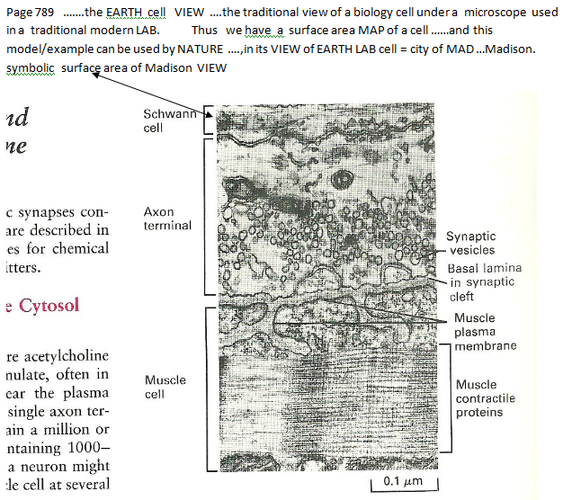 p-1180-13a.PNG