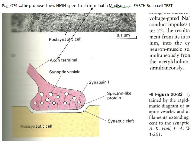 p-1180-15.PNG