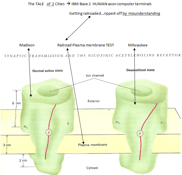 p-1180-18a.PNG
