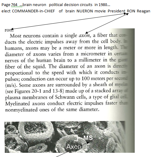 p-1180-8a.PNG